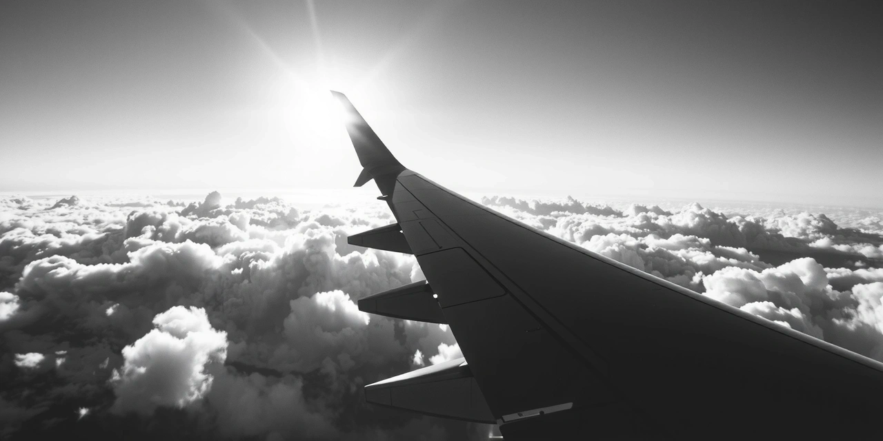 The Freedom of Points